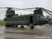 Boeing CH-47D Chinook (D-667)